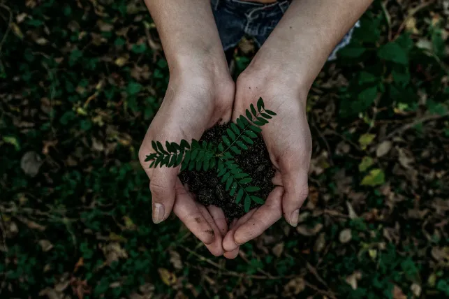 Respeto por el medio ambiente